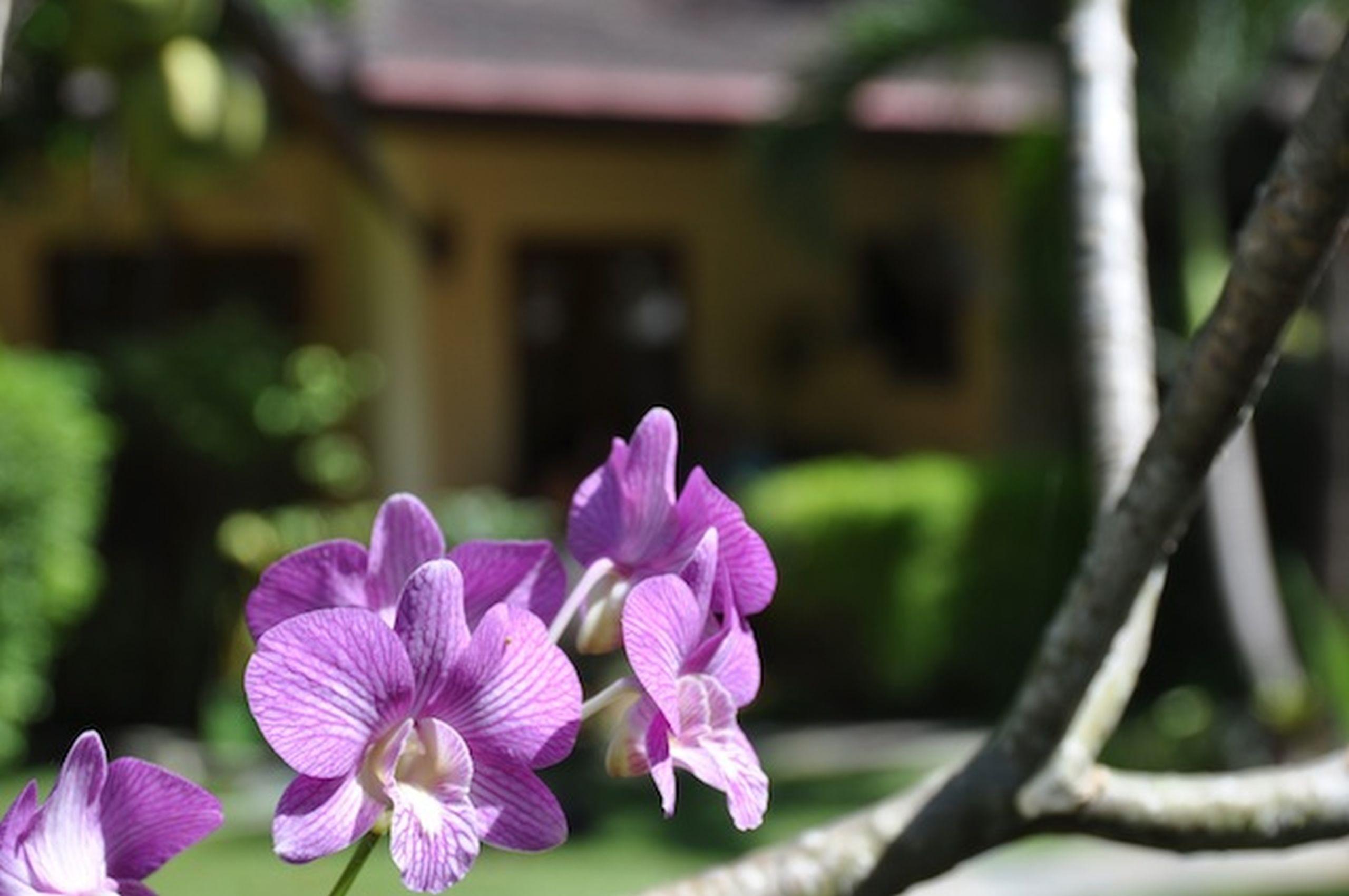 Palm Garden Resort Rawai Exterior foto